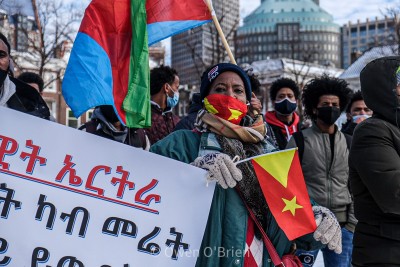Eritreans in The Netherlands protest against the ongoing Tigray Genocide