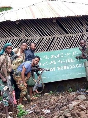 Tigray forces back in Addi Arkay