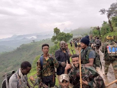 Tigray forces back in Addi Arkay