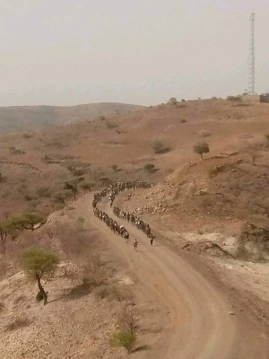 Ethiopian POWs on foot from Tigray to Ethiopia