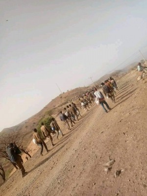 Ethiopian POWs on foot from Tigray to Ethiopia