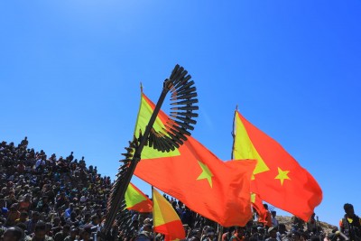 Tigray Army (ሰራዊት ትግራይ)