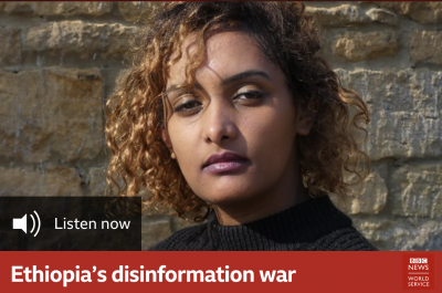 Journalist Lucy Kassa tries to unpick fact from fiction in Ethiopia’s disinformation war