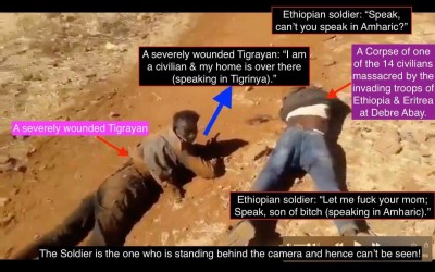 AbiyAhmedAli &amp; Isaias Afeworki forces are indiscriminately massacring Tigrayan men throughout #Tigray